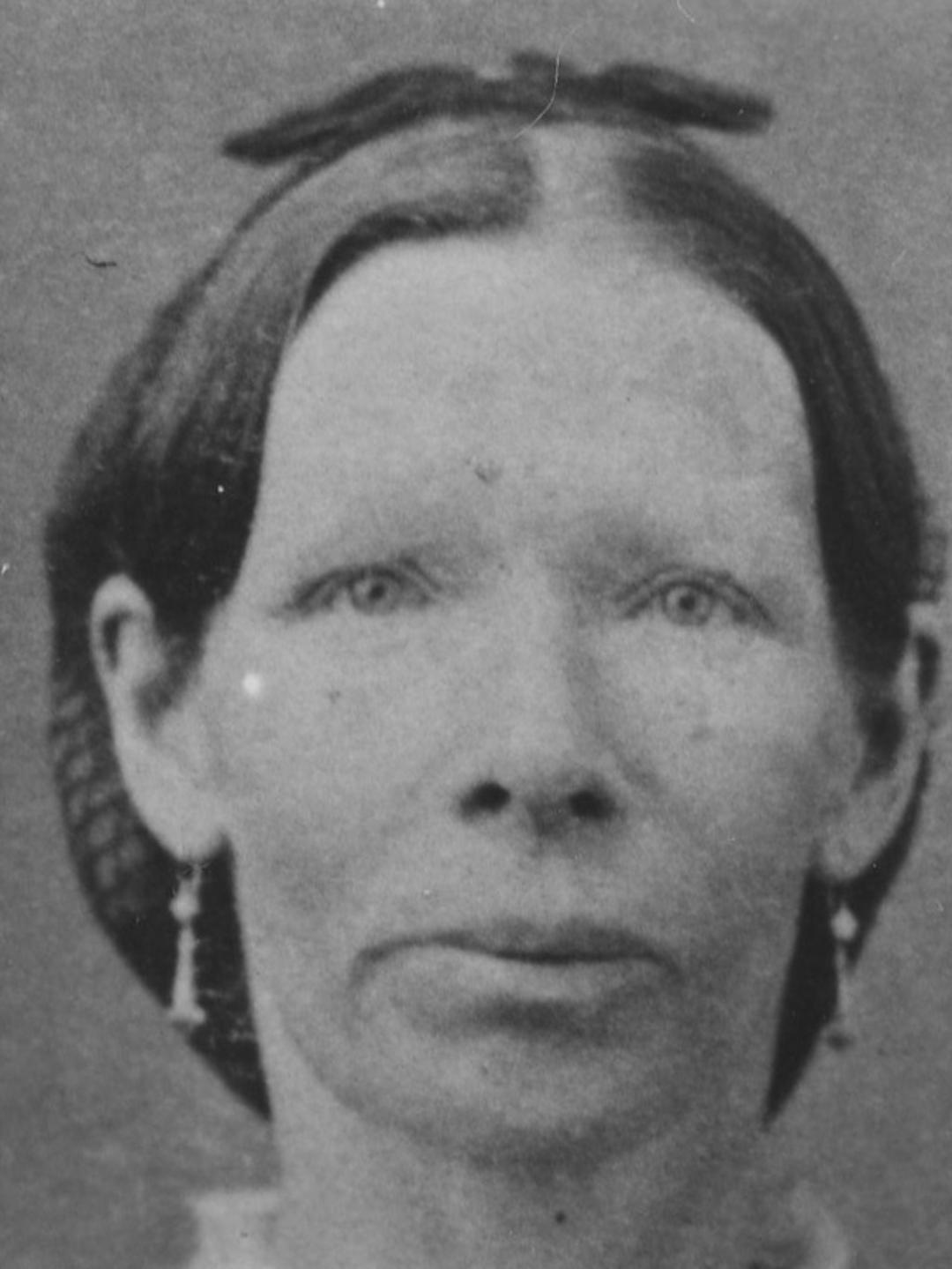Agnes Widdison (1831 - 1920) Profile